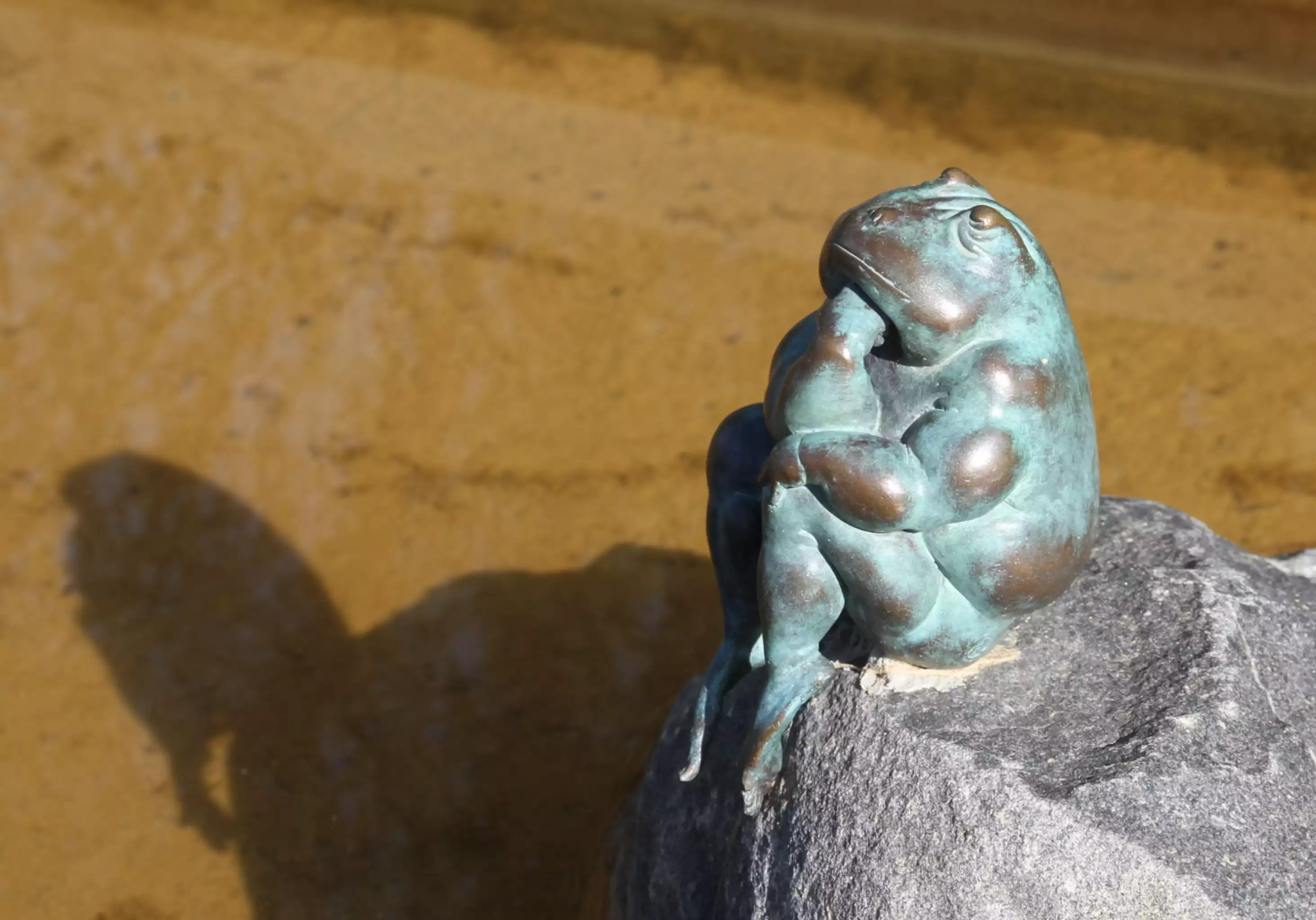 Galeriebild